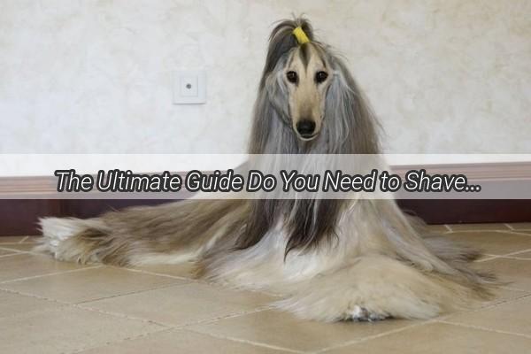 The Ultimate Guide Do You Need to Shave Your Dog Before Labor